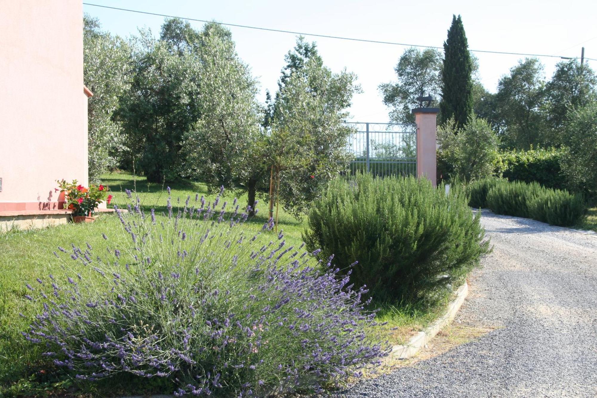 Agriturismo Gli Archi Fauglia Exterior foto