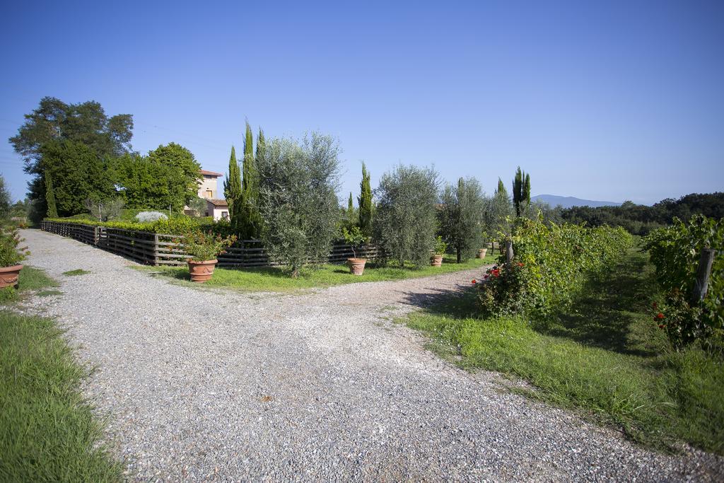 Agriturismo Gli Archi Fauglia Exterior foto
